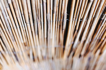 Obraz premium textur005