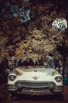 Carro velho debaixo da árvore em uma fotografia vintage