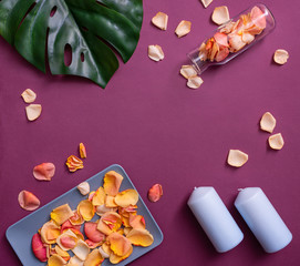 Top view of rose petals on a plate and in a glass jar with tropical leave and wax candles on color background.
