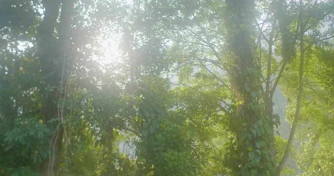 The Famous and Tourist Tayrona Park, the Ciudad Perdida (Lost City) in Magdalena / Colombia, full of Nature, Vegetation, History and Culture