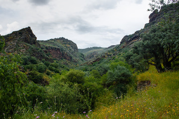 Fototapeta na wymiar paisagem natural do parque do douro internacional em Portugal