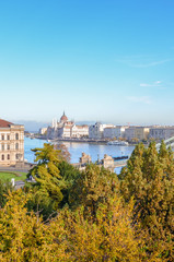Amazing cityscape of Budapest, Hungary with Szechenyi Chain Bridge over the Danube River and Hungarian Parliament Building in the background. Trees in the foreground. Vertical photo