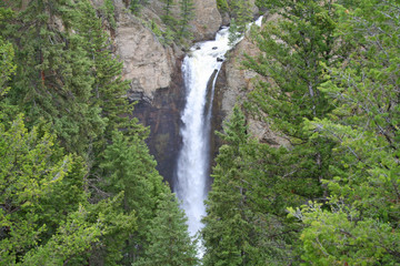 Tower Fall (WY 00758)