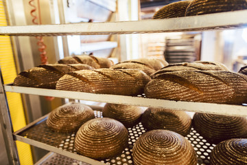 Fototapeta na wymiar Lots of freshly baked bread on sheets in bakery