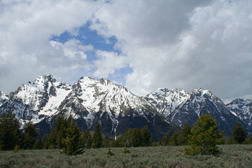 Fototapeta na wymiar Grand Teton National Park (WY 00209)