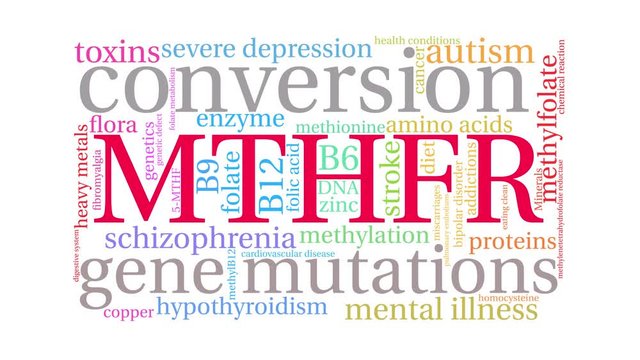 MTHFR animated word cloud on a white background. 