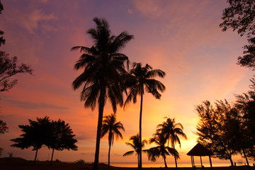 Fototapeta na wymiar Sunset at beach with silhouette trees at Tanjung Aru beach in Sabah Malaysia