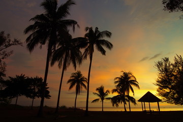 Fototapeta na wymiar Sunset at beach with silhouette trees at Tanjung Aru beach in Sabah Malaysia