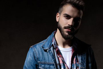 Charming model looking forward while wearing jeans jacket