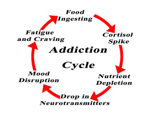 Six Components of Addiction Cycle