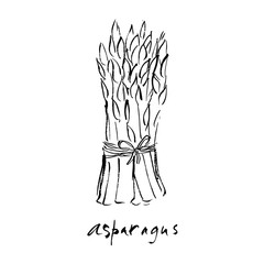 Asparagus illustration