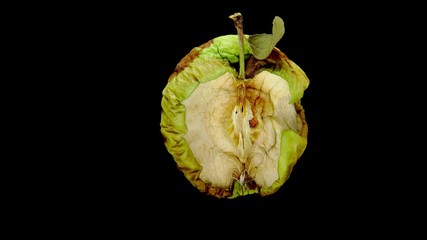 Bitten half of apple (Granny Smith) dry up, high quality time lapse shot, isolated on black. Ripe fruit shrink and change colour, dark patches appear on skin. Small leaf on stalk