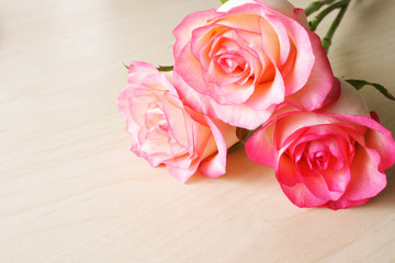 rose background abstraction flowers