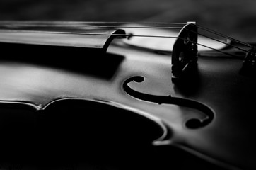 Violin © cam_pine
