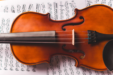 Fototapeta premium Violin