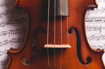 Violin