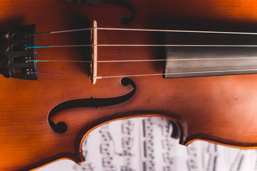 Fototapeta premium Violin