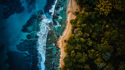 Magnificent aerial shot of a blue tropic lagoon with crystal clear water surrounded by beach and palm trees.