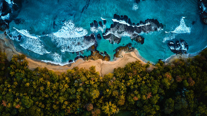 Aerial drone photo of a blue tropical lagoon surrounded by white sand of an exotic beach and palm trees.