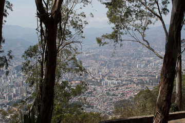 View of the city of Caracas from the forest in the El Avila mountain