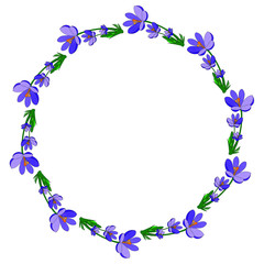 Round frame with pretty flowers crocus. Festive floral circle for your season design. Violet flowers.Vector Illustration.