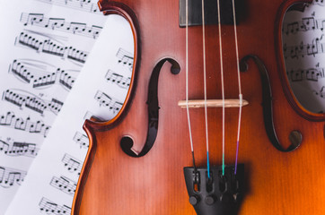 Naklejka premium Violin
