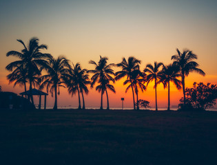 sunset palm beach tree tropical sky sea ocean sun silhouette nature florida miami landscape vernao coconut dusk eden aquatic coast beautiful orange © Alberto GV PHOTOGRAP