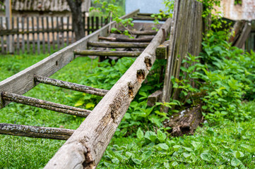 Old broken wooden ladder in spring garden