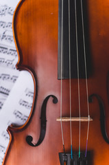 Fototapeta premium Violin