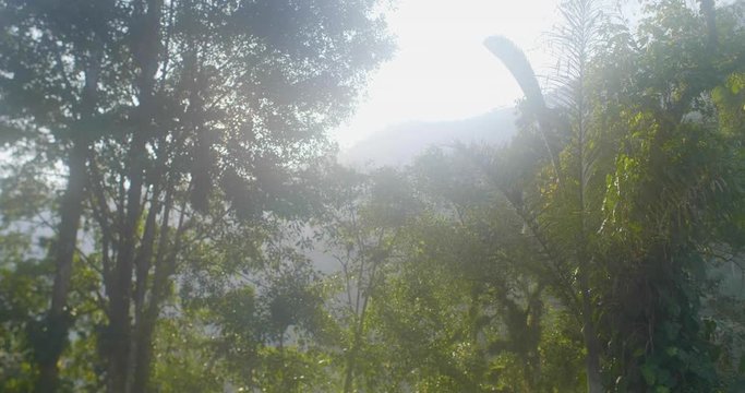 The Famous and Tourist Tayrona Park, the Ciudad Perdida (Lost City) in Magdalena / Colombia, full of Nature, Vegetation, History and Culture