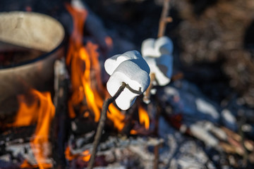 People made a fire in a park area and fry marshmallows.