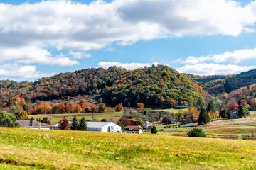 Fototapeta na wymiar View of red maple trees and white farm houses in appalachian mountains in Monterey, Highland County, Virginia