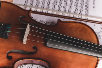 Naklejka premium Violin