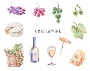 Watercolor hand painted grape and wine clipart on white background. Grape, cheese, bottle of wine, glass, corkscrew for wine. Perfect for pattern, fabric, wrapping paper, scrapbooking, poster, blog.