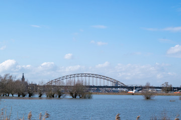 Naklejka premium Treees in flooded water in waal