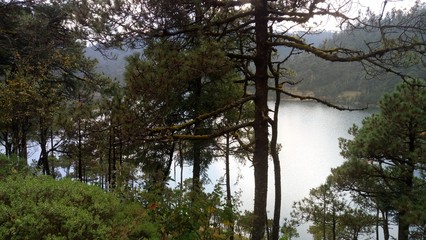acuático, lago, árbol, naturaleza, bosque, paisaje, cielo, río, árbol, azul, otoñal, verano, charcas, languidecer, verde, madera, caer, madrugada, primavera, césped, country, camp, forest