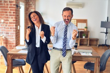 Two middle age business workers standing working together in a meeting at the office very happy and excited doing winner gesture with arms raised, smiling and screaming for success. Celebration