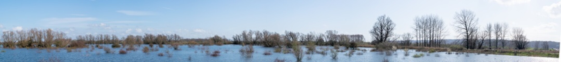 shrubs in water in the Ooijpolder