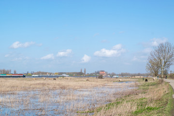 flooded water between grain