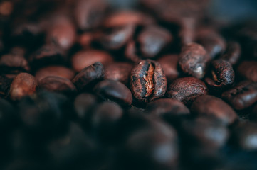 coffee bean