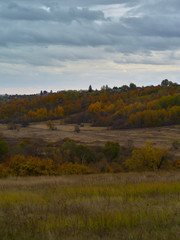 Autumn trees near the village and agriculture field landscape at sunset in Kursk Russia