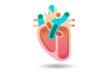 Illustration of human heart in medical concept