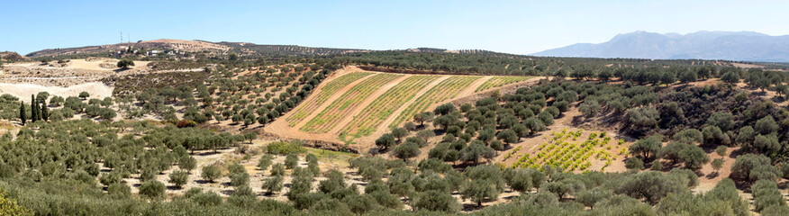 View of the countryside in the mountains