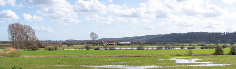 Obraz premium Puddles of water in polder landscape