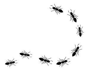 ant logo icon vector illustration design