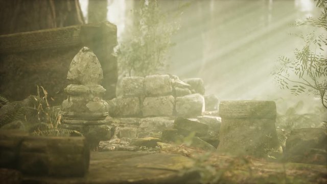 Hoary ruins of ancient city in pine forest