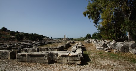 Fototapeta premium Ksantos