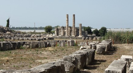 Fototapeta premium Ksantos