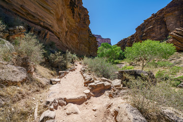 hiking through indian garden on bright angel trail in grand canyon national park, arizona, usa