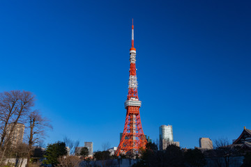青空の東京タワー